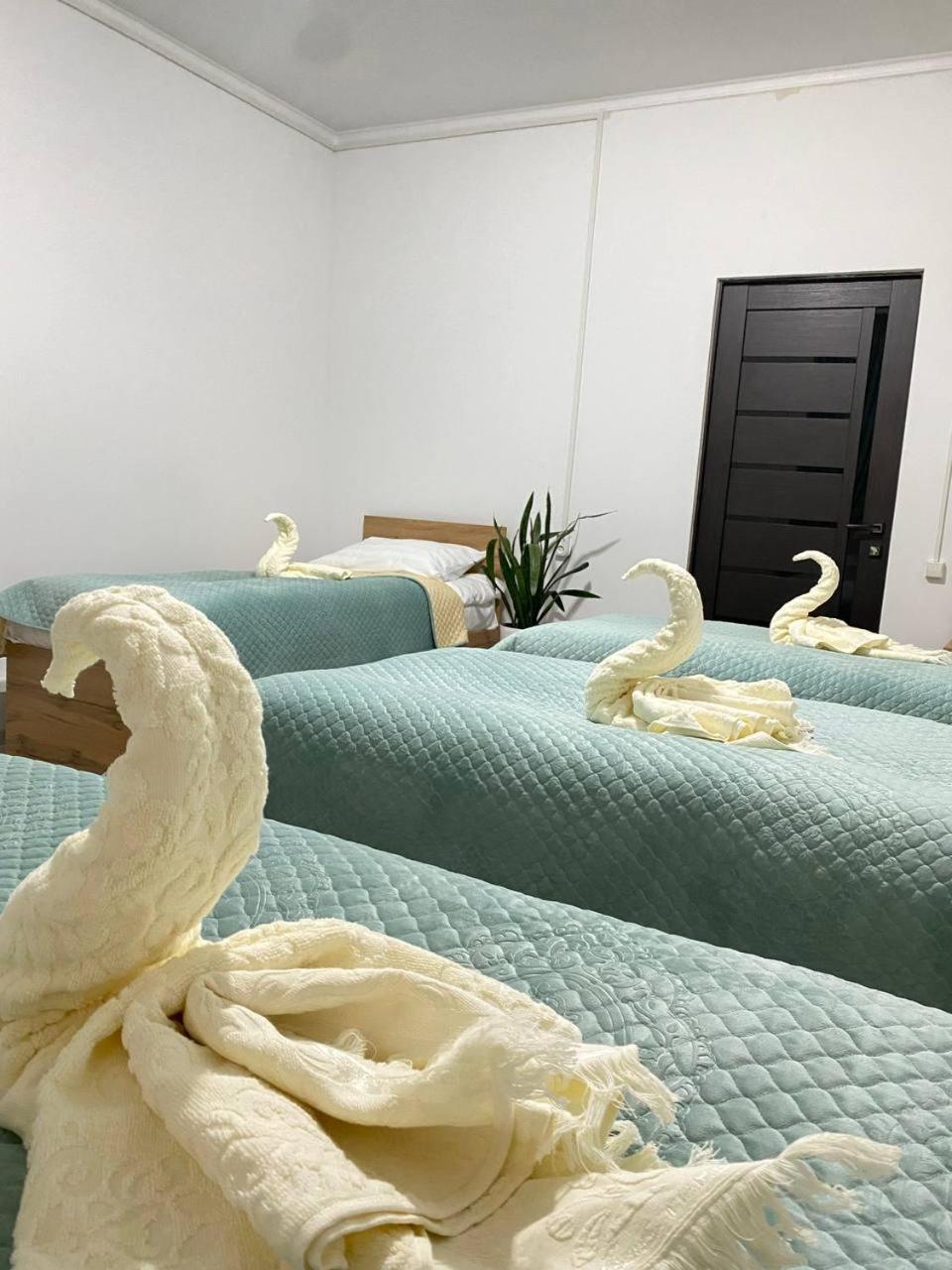 Sayak Hostel Karakol Kültér fotó